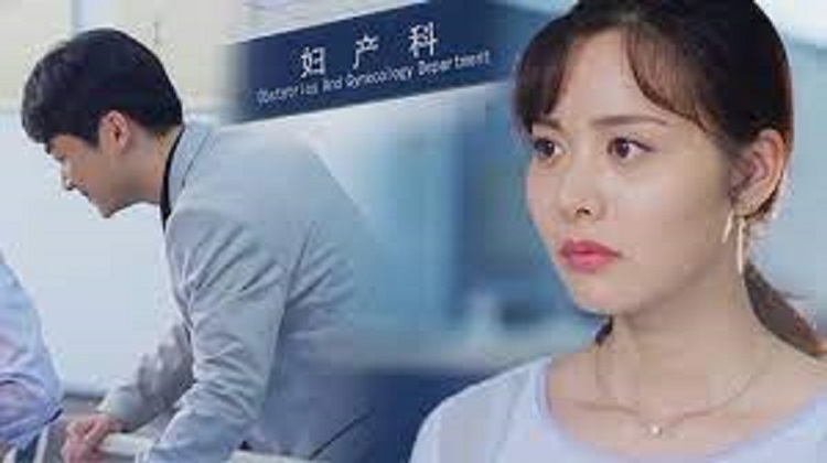 The Scent of Plum A Detailed Look at the Chinese Drama Series of 2021