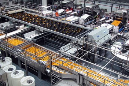Vegetable Processing Plant: An Overview