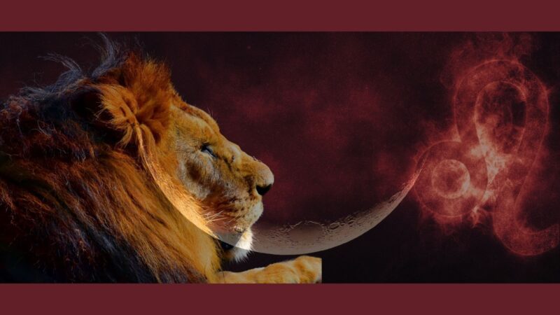 The Mysterious Power of the Leo New Moon Lions Gate Portal