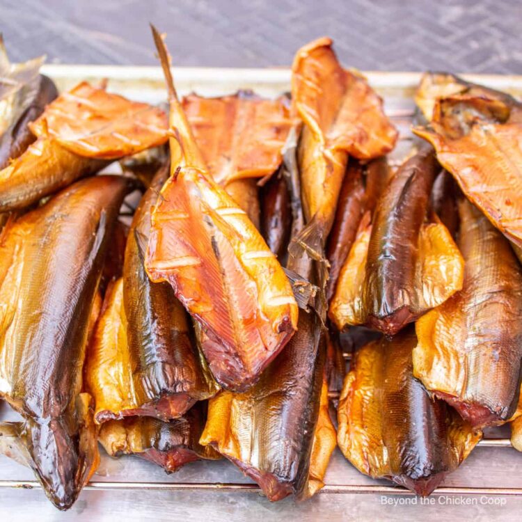 Smoked Chubs: A Delightful and Nutritious Treat