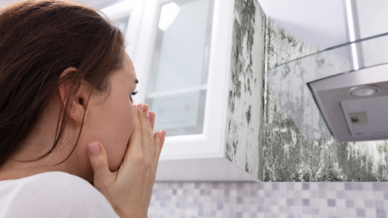 : Unmasking the Silent Threat: 10 Warning Signs of Mold Toxicity