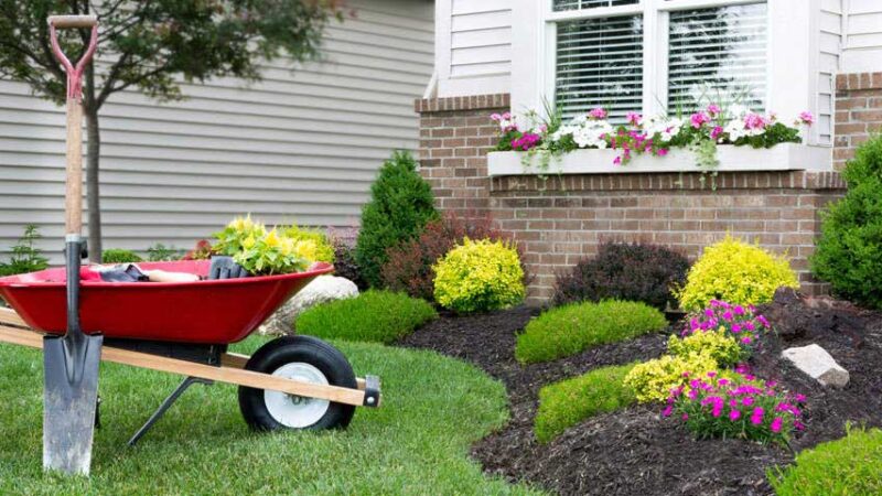 Enhance Your Home’s Appeal with Premier Residential Lawn Mowing Services in Mount Pleasant