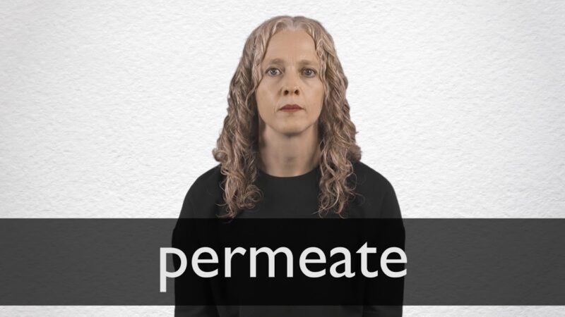Synonyms for Permeation