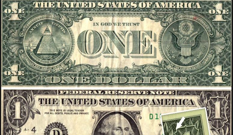 Owl On Dollar Bill